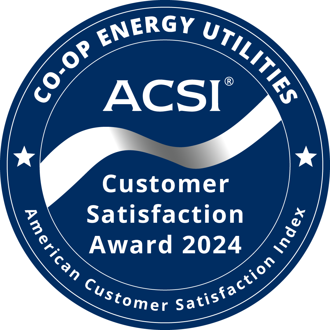 ACSI Customer Satisfaction Award